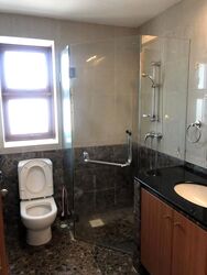 Tropical Spring (D18), Condominium #619386561